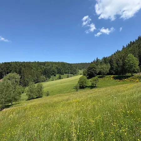 Feriehus House On The Edge Of The Forest In La Claquette